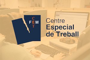 FEM-CET Professionals amb capacitats